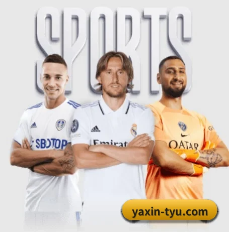 五个功能入口,赛程查询路径更短 - yaxin
